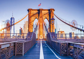 Alipson Puzzle 1000 Palan Palapeli Brookyln, New York
