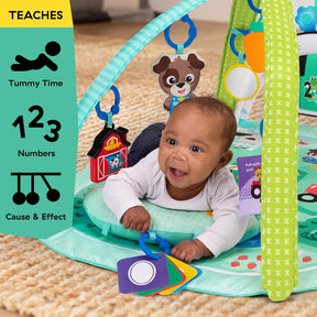 Baby Einstein 4-in-1 Kickin' Tunes Musical Meadow Aktiviteettimatto Vauvajumppa Musiikki