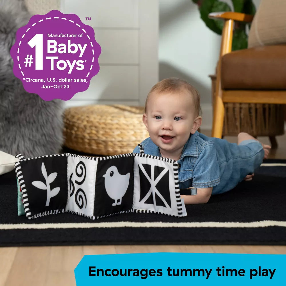 Baby Einstein Counting At The Farm Aktiviteettikirja/Pehmokirja