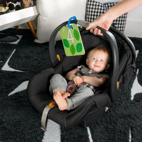 Baby Einstein Discovery Garden Tummy Time & Mirror Aktiviteettilelu/Aktiviteettimatto