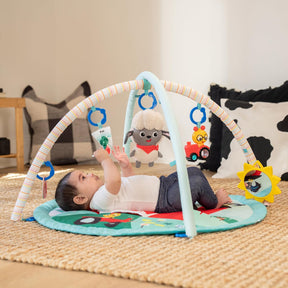 Baby Einstein Farm Explorers Happy Harvest Aktiviteettimatto