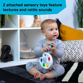 Baby Einstein Popper Activity Paint Pallet Dimples Poksauttelulelu 