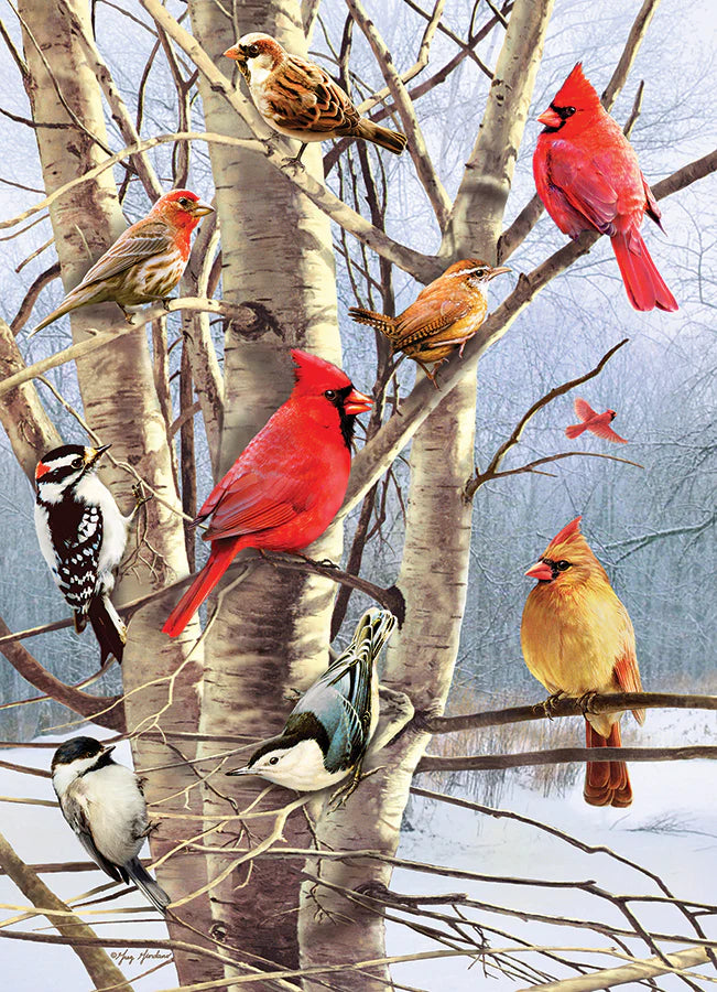 Cobble Hill 1000 Palan Palapeli Winter Birds