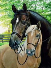 Itsibitsi Diamond Painting / Timanttityö 30x40 Kaksi Hevosta