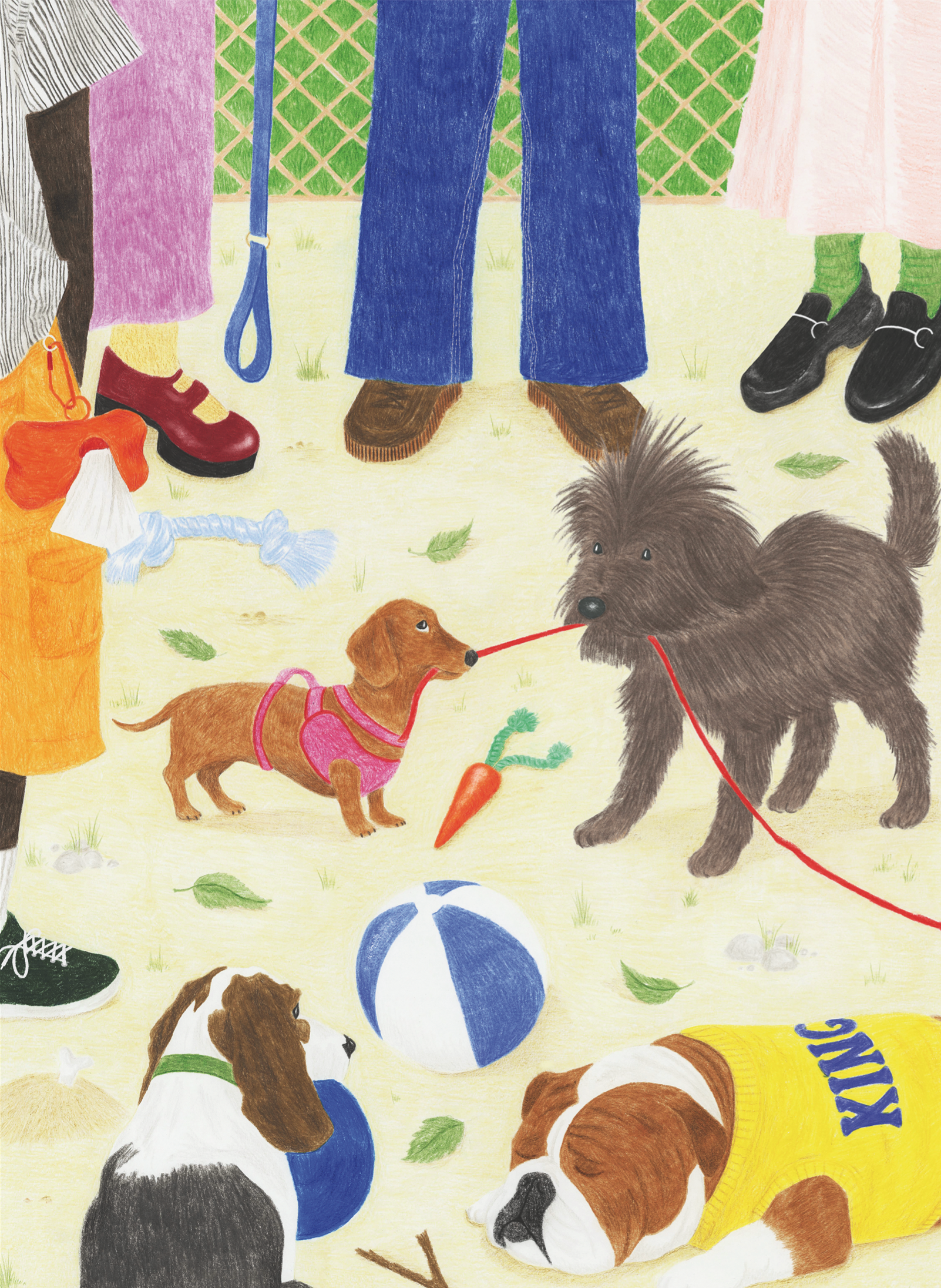 Jour Ferie 1000 Palan Palapeli Take The Dog Out 