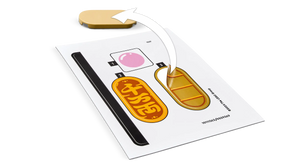 LEGO 40813 Onnenkissa