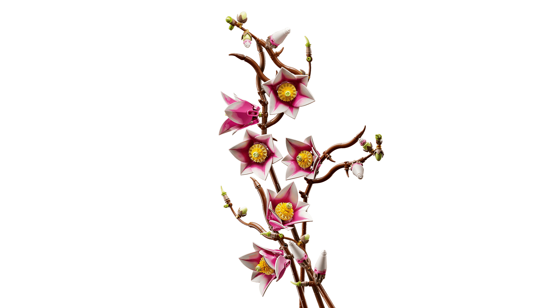 LEGO Botanicals 11510 Magnolian Oksat