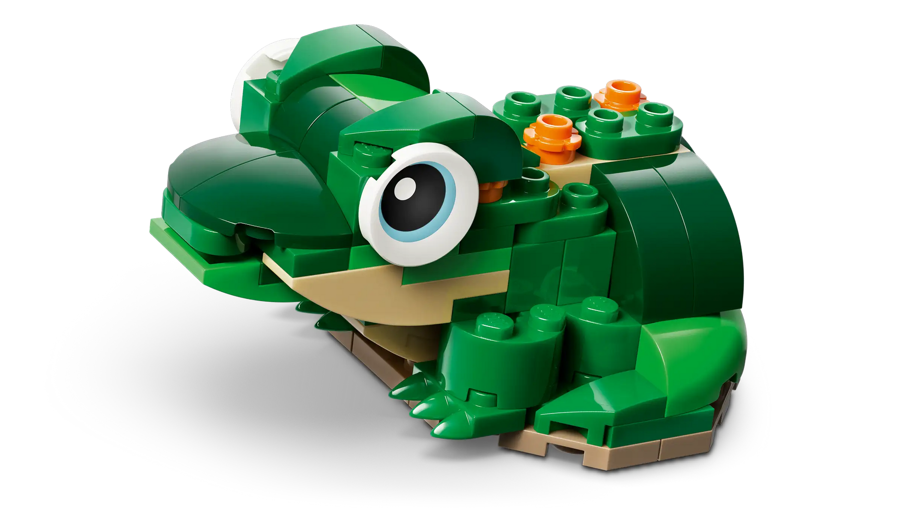 LEGO Creator 31377 Kilpikonna ja Lumpeenkukka