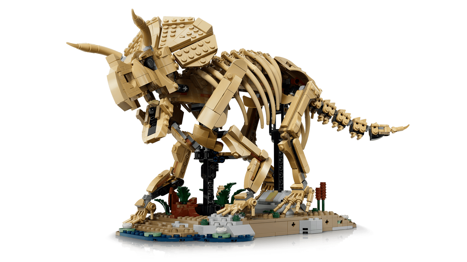LEGO Editions 77985 Dinosaurusfossiilit: Triceratops