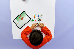 LEGO Minecraft 21583 Steven Seikkailu Taiga-metsässä