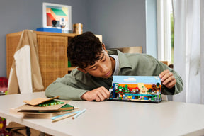 LEGO Minecraft  21589 Minibiomit