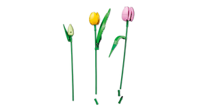 Lego 11501 Tulppaanikimppu