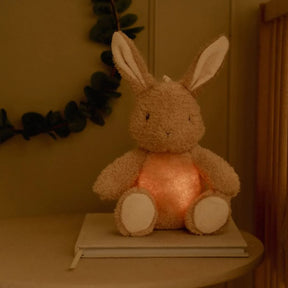 Little Dutch Newborn Naturals Pehmoinen Pupu- Yövalo Musiikilla