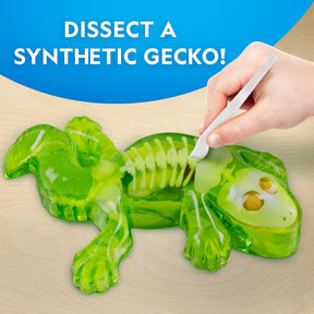 National Geographic Disection Lab Gecko 