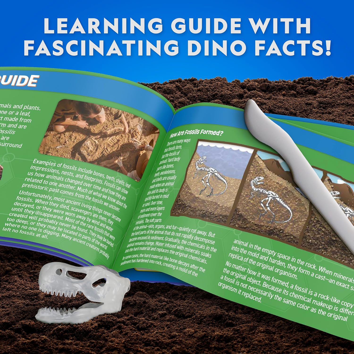 National Geographic Glow In The Dark Rakennettava Tyrannosaurus Rex