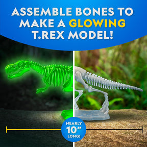 National Geographic Glow In The Dark Rakennettava Tyrannosaurus Rex