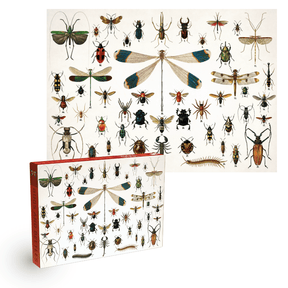 Penny Puzzle Bugs and Beetles Vintage 1000 Palan Palapeli 