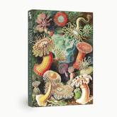 Penny Puzzle Sea Anemones 1000 Palan Vintage Palapeli 
