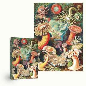 Penny Puzzle Sea Anemones 1000 Palan Vintage Palapeli 