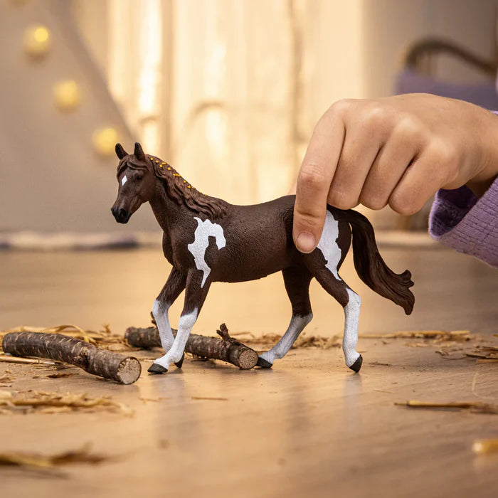 Schleich 14901 Paint Tamma