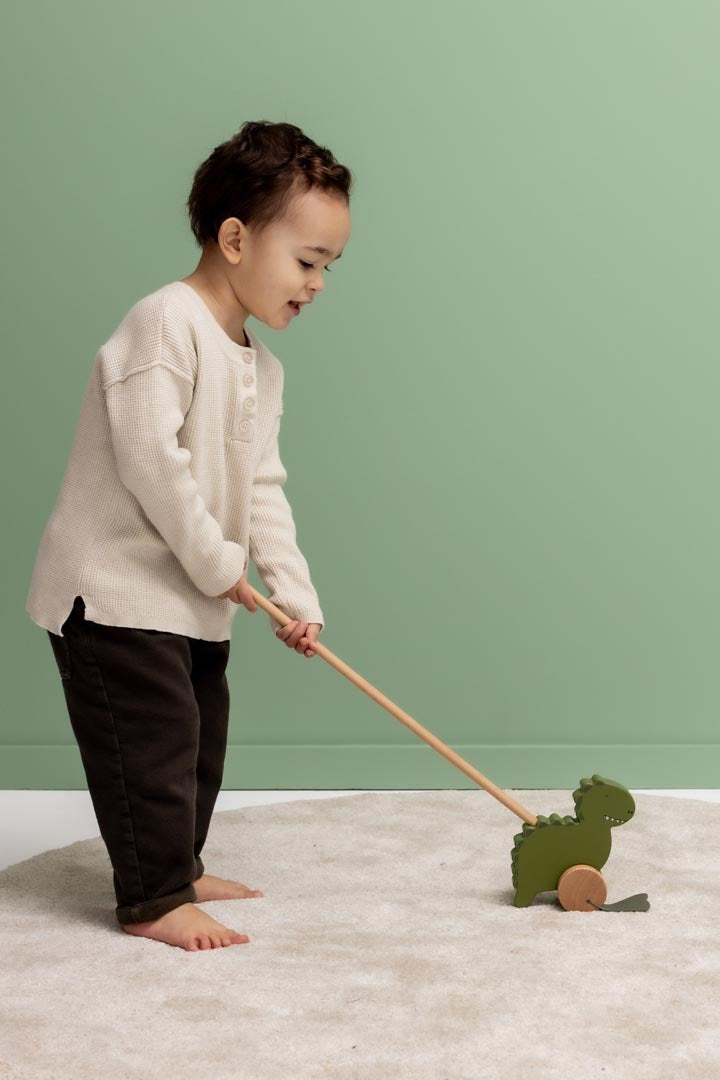 Trixie Puinen Työntölelu Dinosaurus