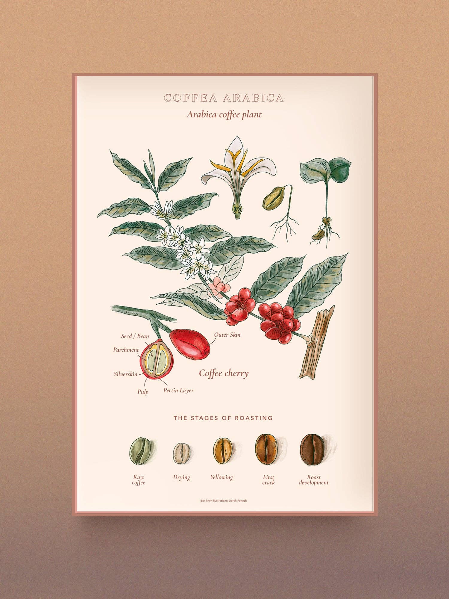 Water And Wines World of Coffee/Kahvin Maailma 1000 Palan Palapeli