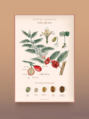 Water And Wines World of Coffee/Kahvin Maailma 1000 Palan Palapeli