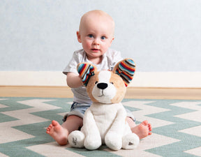 Zazu Peek-A- Boo Soft Toy Danny The Dog, Vauvan Aktiviteettipehmolelu