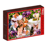 Alipson Puzzle 1000 Palan Palapeli Buds and Bloom