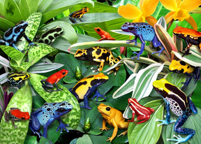 Alipson Puzzle 500 Palan Palapeli Fun Frogs