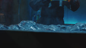 Primal Hatch Kuoriutuva Interaktiivinen Megalodon Hai