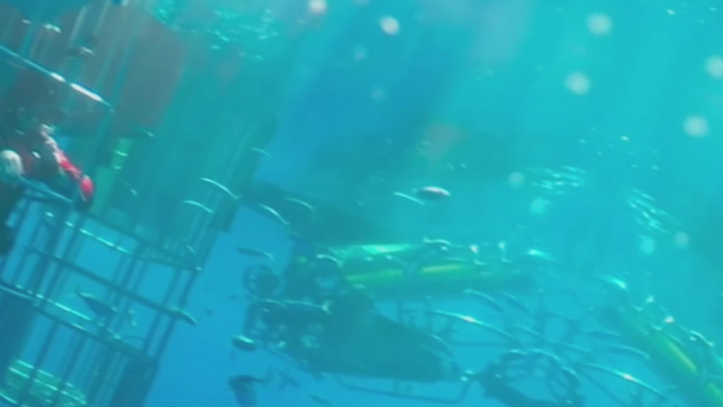 Abacus Interaktiivinen Puuhasetti VR Tutkimusmatka Haiden Maailmaan