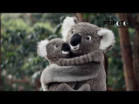 Les Ptipotos Koala ja Poikanen Pehmolelu 34cm 