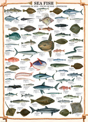Eurographics 1000 Palan Palapeli Sea Fish