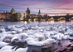 Schmidt 1000 Palan Palapeli Prague, Swans