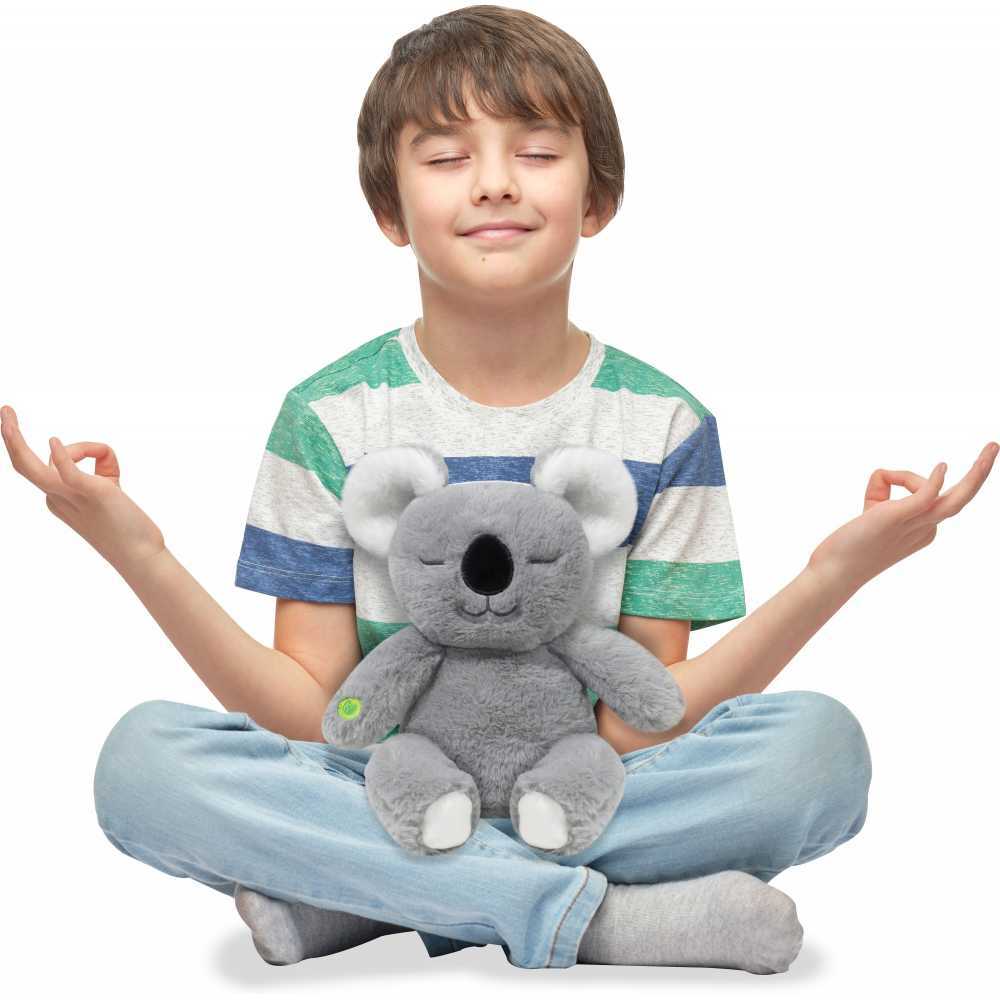 Mindfulness Meditaatio Koala