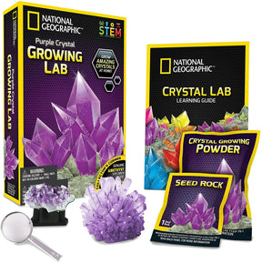 National Geography Purple Crystal Growing Lab