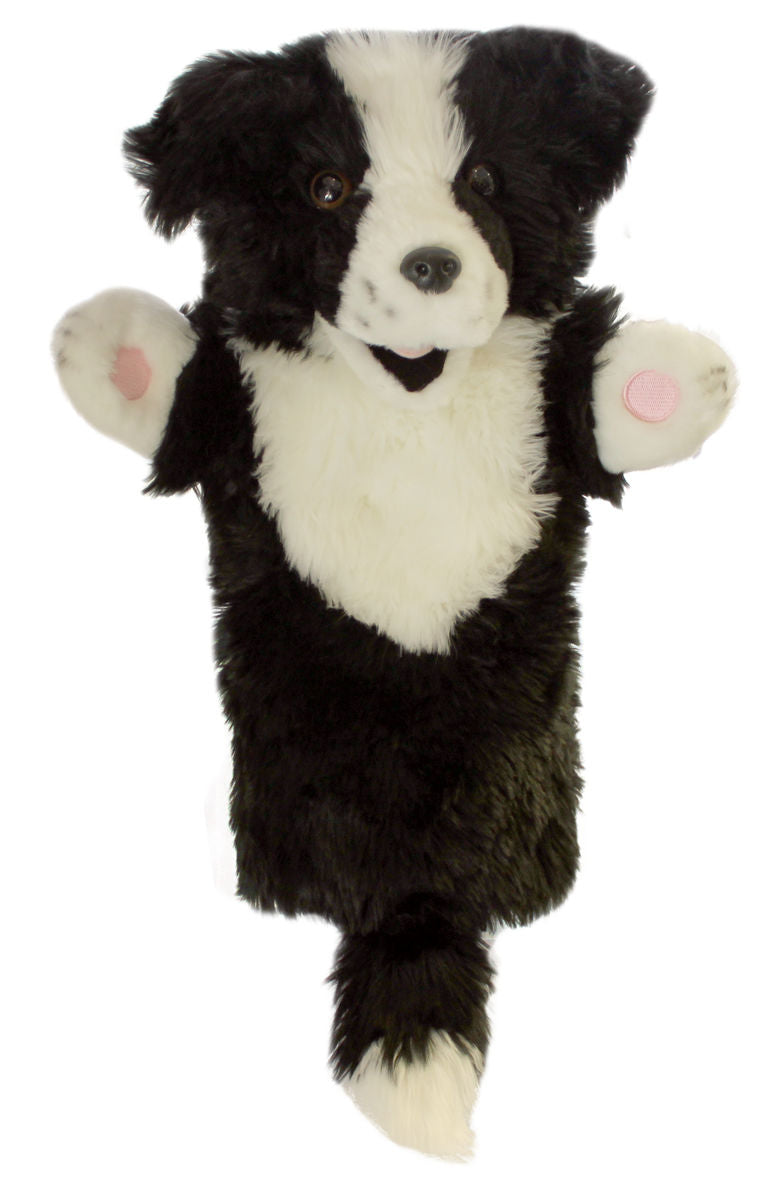 The Puppet Company käsinukke Border Collie koira