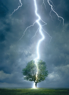 Eurographics 1000 Palan Palapeli Lightning Striking Tree