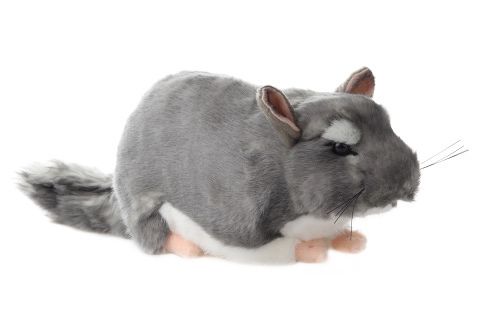 Chinchilla Pehmo 21cm