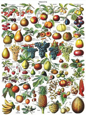 New York Puzzle Company 1000 Palan Palapeli Fruits