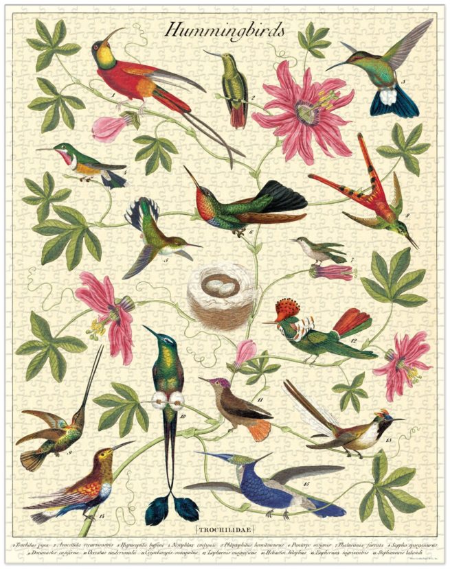 Cavallini & Co. Vintage Puzzle 1000 palaa Hummingbirds