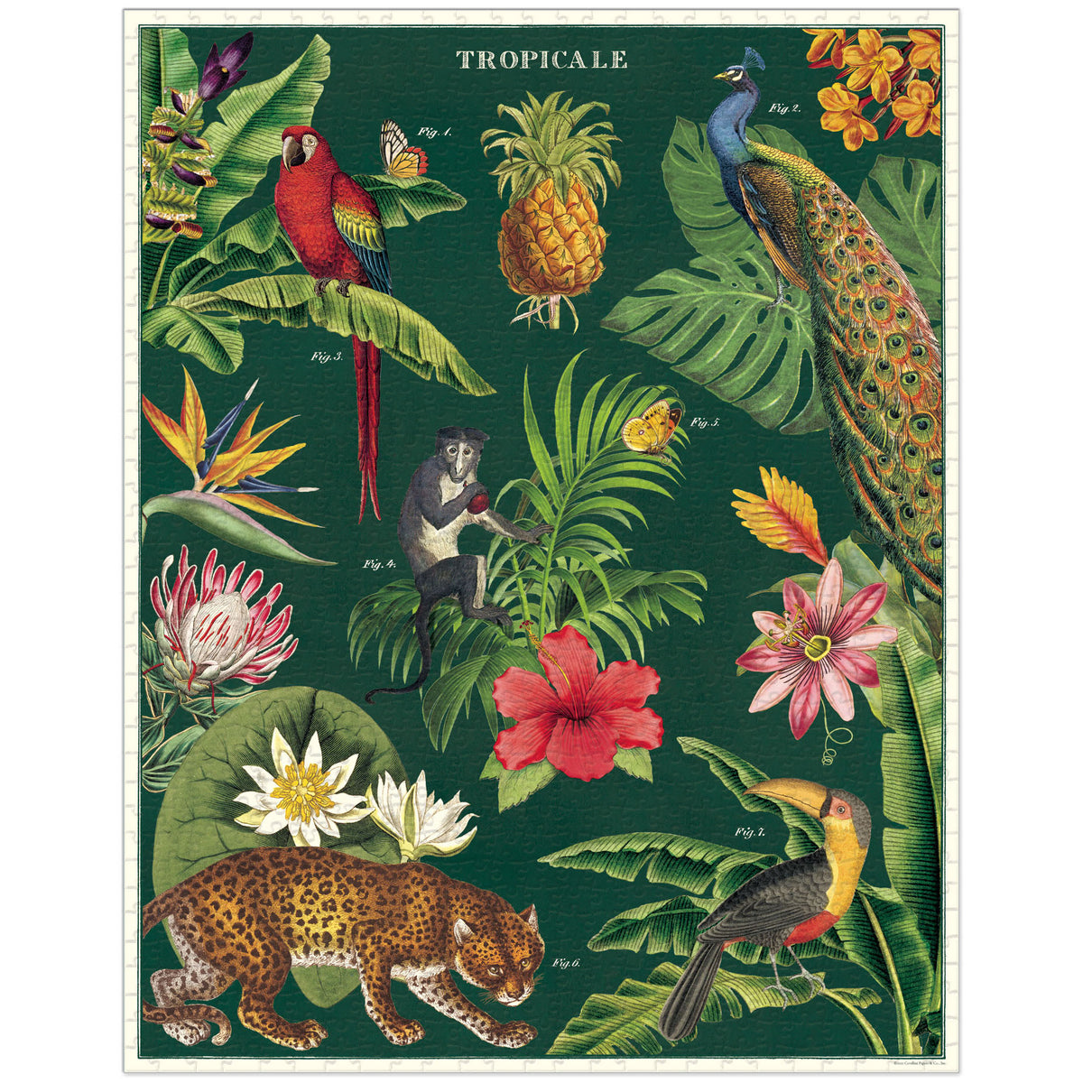 Cavallini & Co. Vintage Puzzle 1000 palaa Tropicale