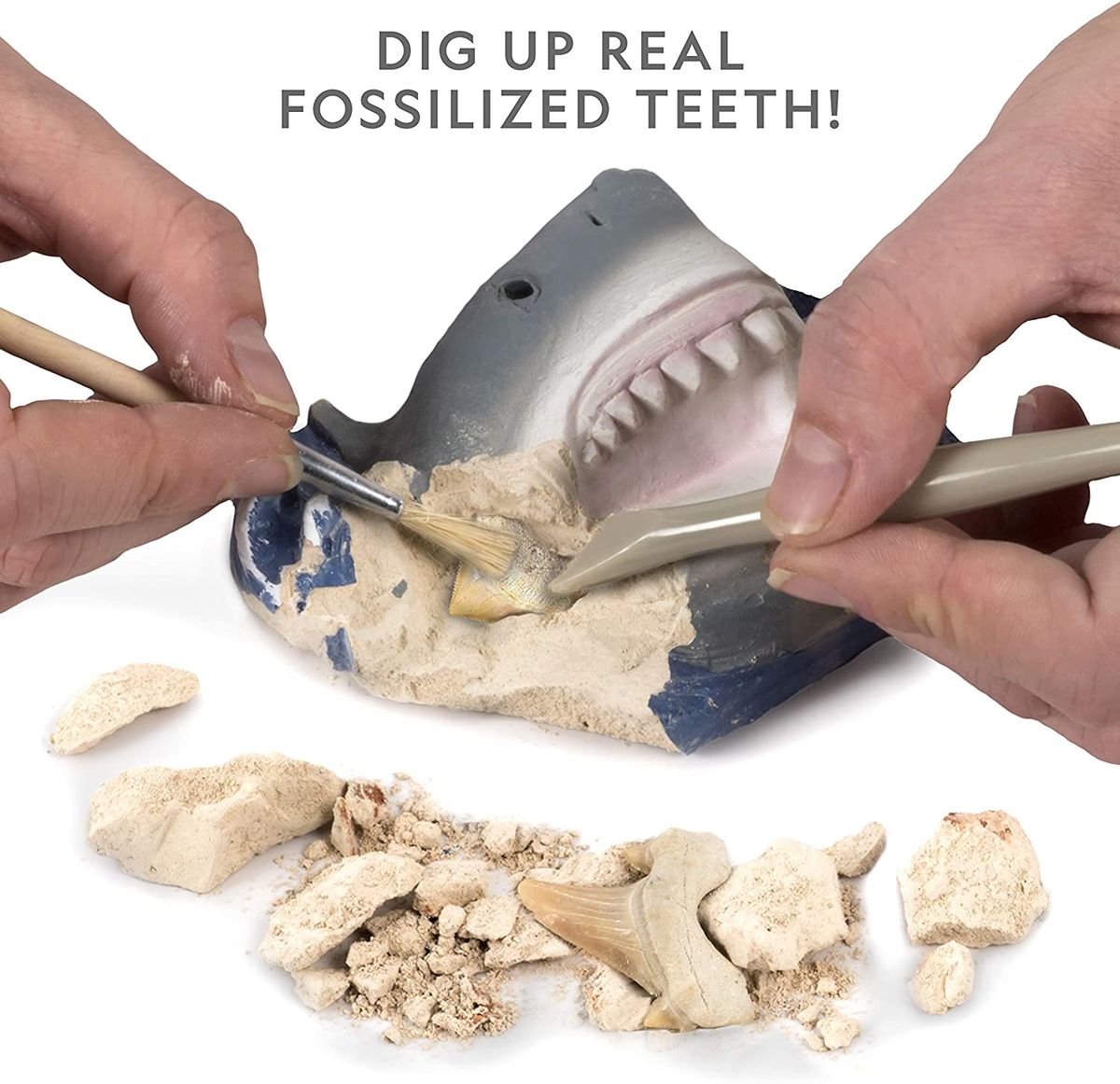 National Geographic Shark Teeth Dig Kit