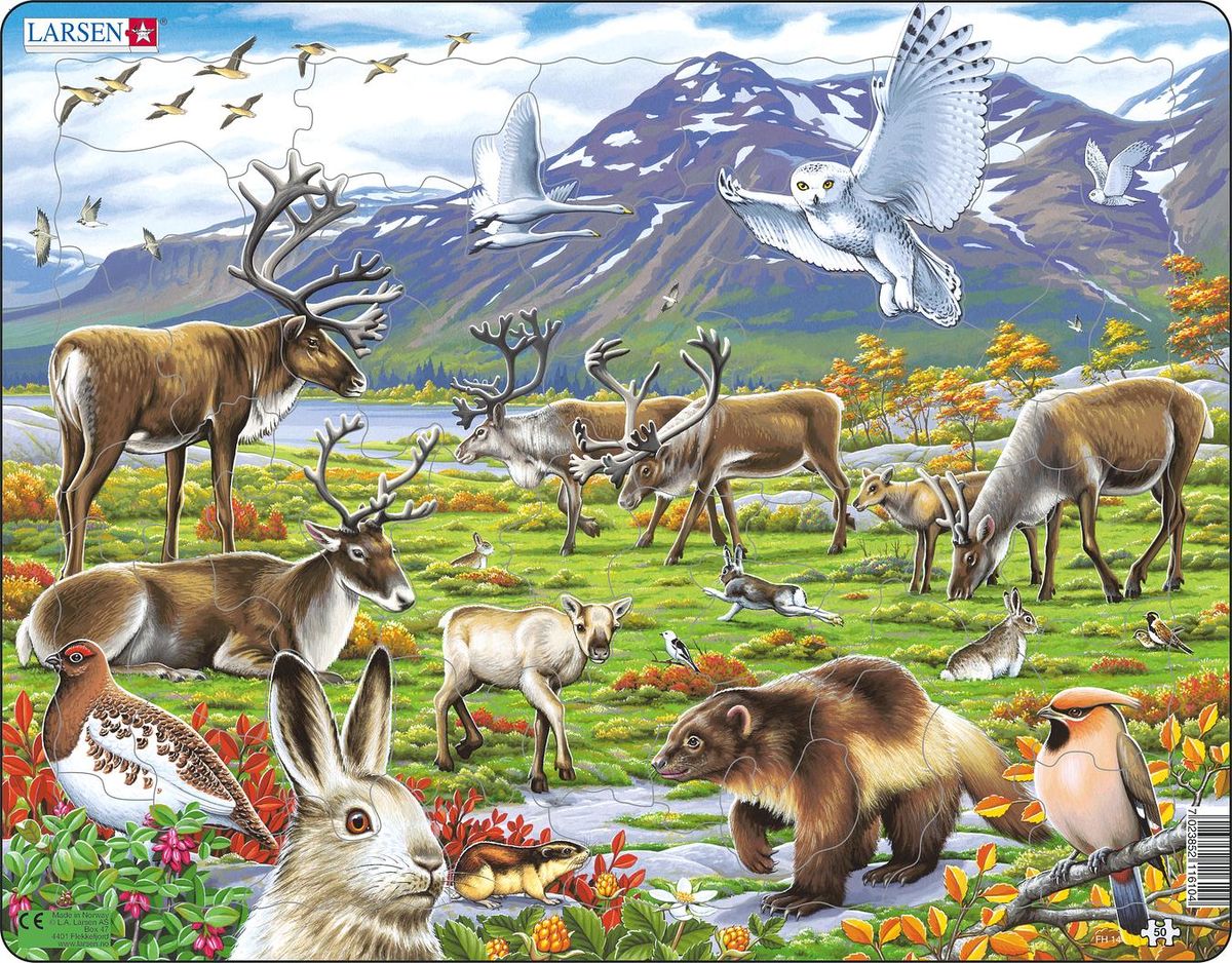 Larsen Kehyspalapeli Pohjoisen eläimet 50 palaa
