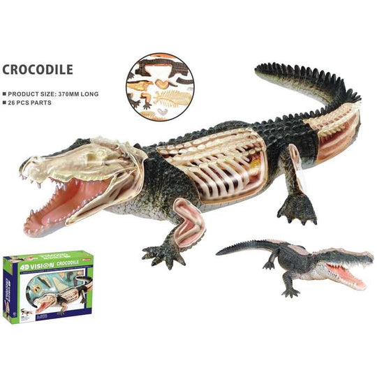 4D Vision Crocodile Krokotiili