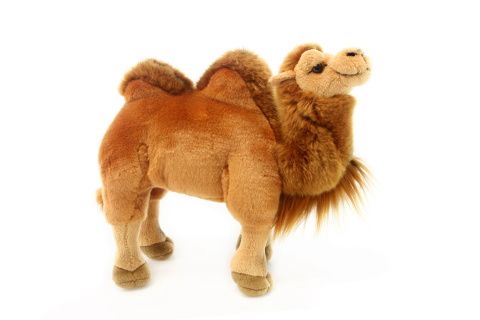 Kameli Pehmolelu 27cm