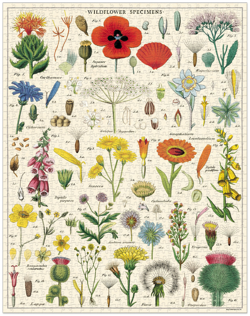 Cavallini & Co. Vintage Puzzle 1000 palaa Wildflowers